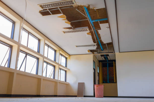 Best Ceiling water damage repair  in Lake St Croix Beach, MN