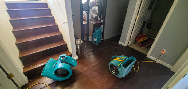 Best Local water damage restoration  in Lake St Croix Beach, MN