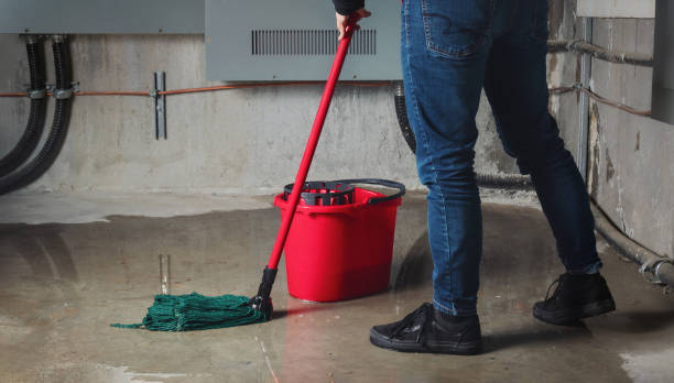 Best Sewage cleanup and water damage restoration  in Lake St Croix Beach, MN