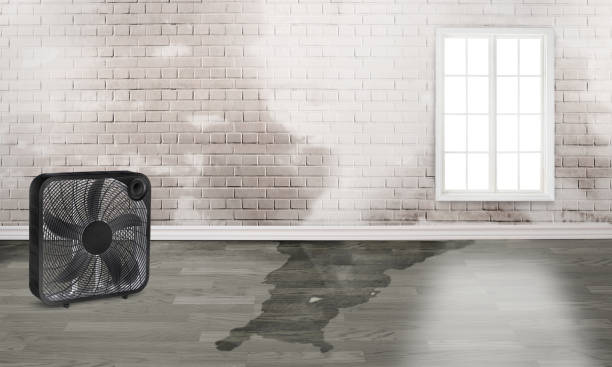 Best Fire Damage Restoration  in Lake St Croix Beach, MN