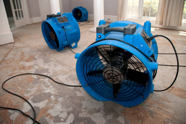 Best Water damage contractors near me  in Lake St Croix Beach, MN