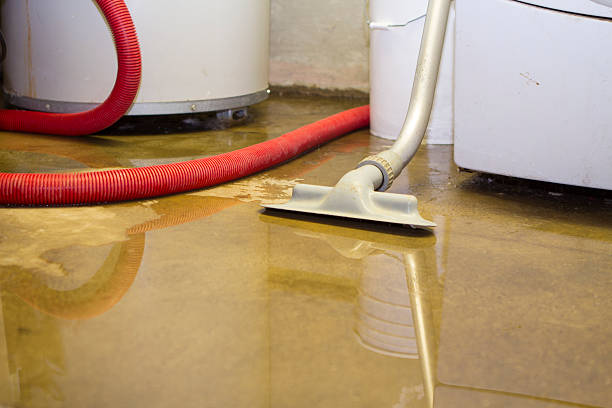 Best Mold removal after water damage  in Lake St Croix Beach, MN