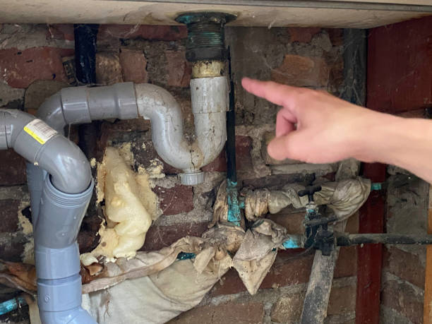 Best 24-hour water damage restoration  in Lake St Croix Beach, MN