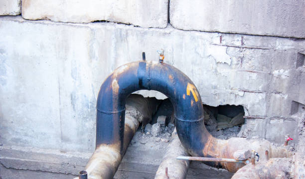 Best Water damage cleanup near me  in Lake St Croix Beach, MN