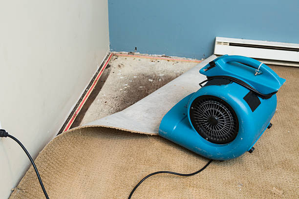 Best Water damage restoration cost  in Lake St Croix Beach, MN